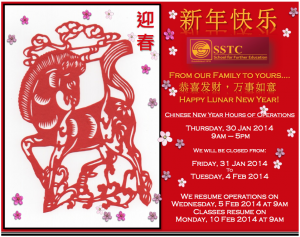 CNY 2014 Flyer