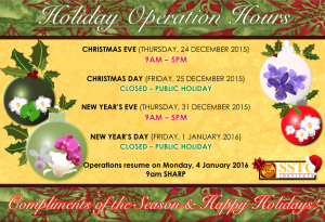 Christmas Flyer 2015 PNG